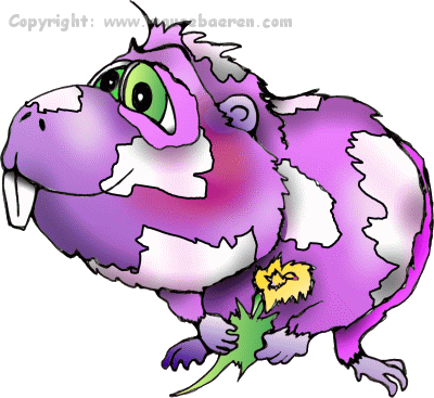 meerschweinchen-illustration-comic-individuell-cartoons-zeichnungen-mausebaeren